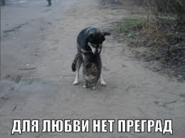 Роскошные женщины в 40. Размышления на тему почему они так нравятся