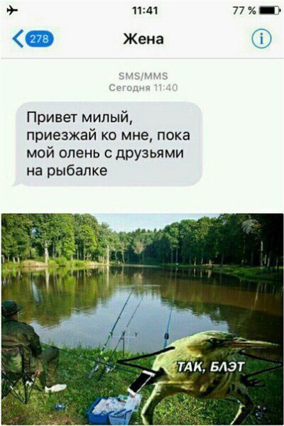 Смешные комментарии из социальных сетей