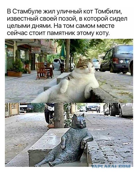 Смешные комментарии из социальных сетей 01.06.2018