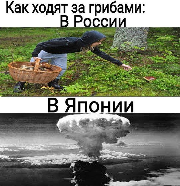 Очень чёрный юмор. Чёрный, как моя душа...