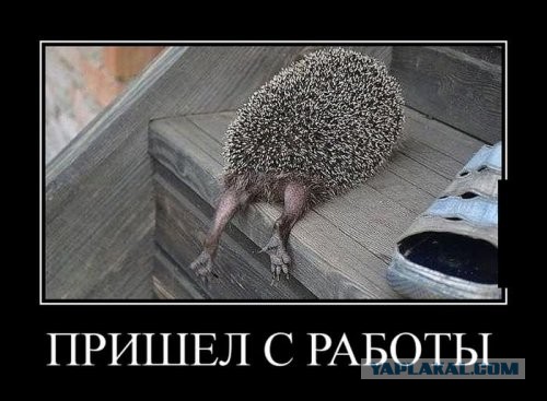 Алкопост на вечер этой пятницы