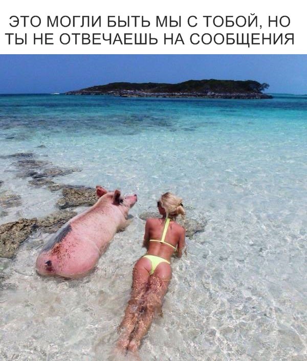 Аморальный юмор в картинках