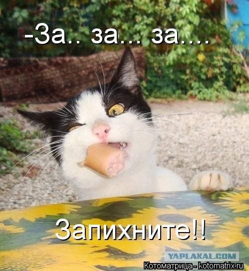 Не тррожь! Это мои сосиски!