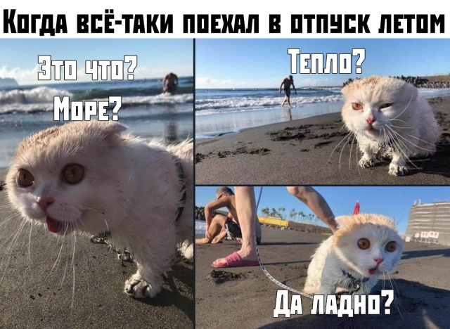 Прикольные комментарии и высказывания из Сети