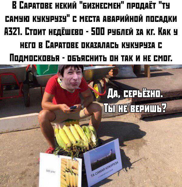 Саратовец торгует кукурузой «с самолетного поля» по 500 рублей за кг