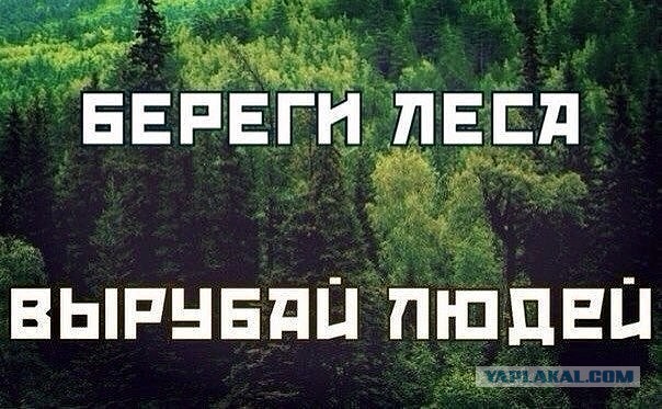 Громкие заявления