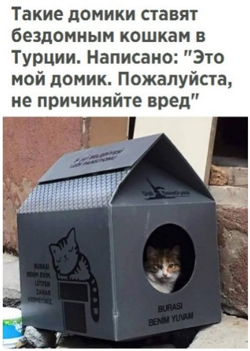 Чуток картинок! 26.12.19
