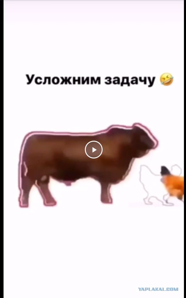 Усложним задачу по ловле курицы