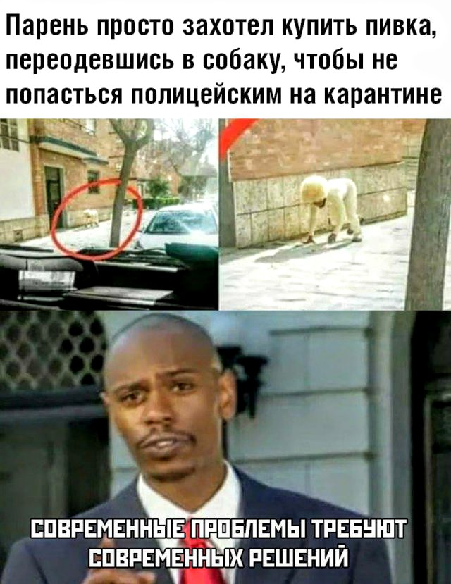 Немного картинок для настроения 31.03.20
