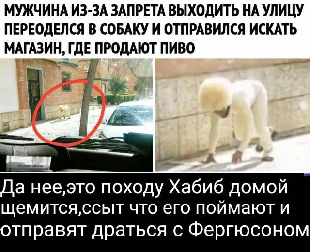 Чуток картинок. Ночные 7