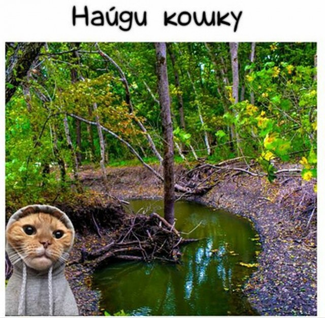 Бредзона 17.04.2020