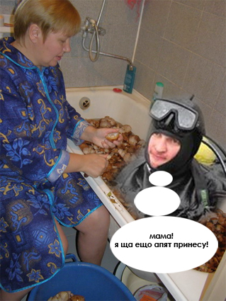 Фотожаба: Грибы на ноутбуке