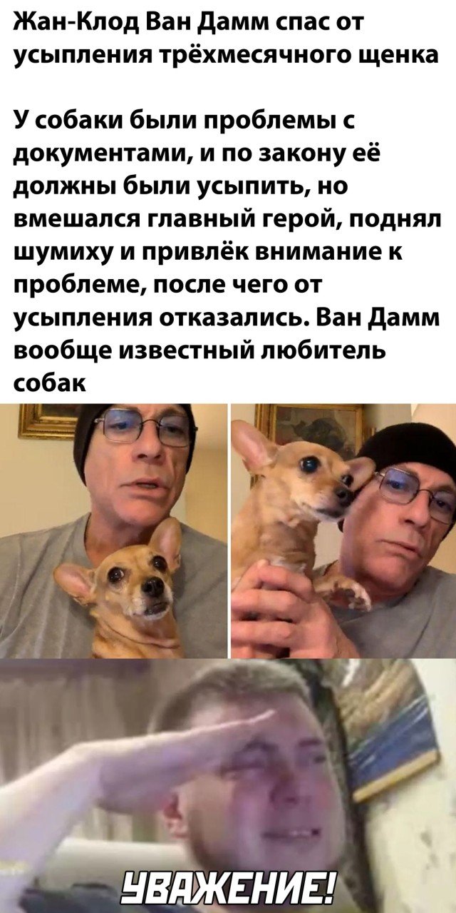 Юмор и прикольные картинки