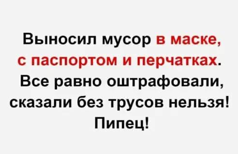 Фотки и картинки: юморные и красивые, забавные и милые 02.11.20