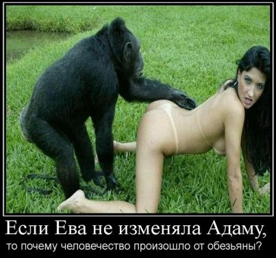 Картинки и мемы для настроения 007