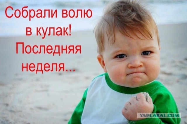 Бредзона 24.12.20