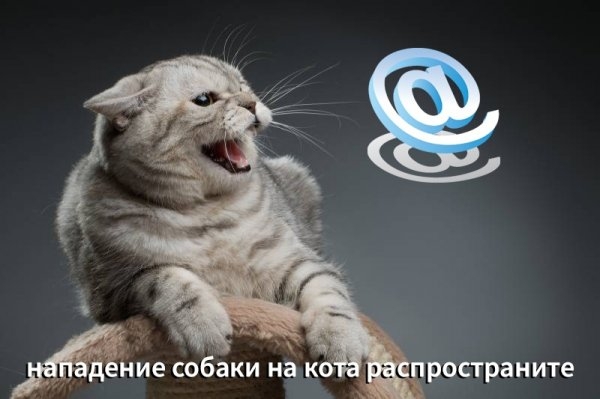 Дегратинки!