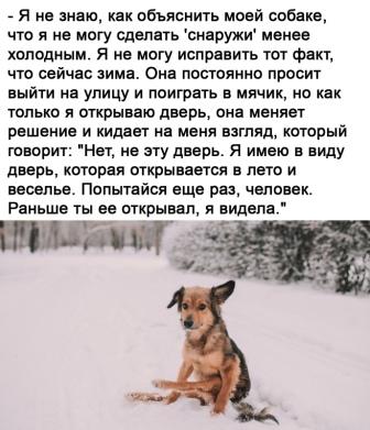 Насохранял
