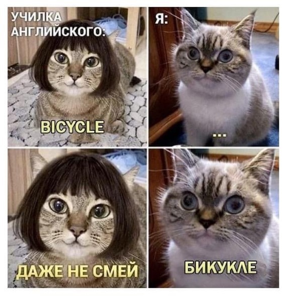 Слова... Слова