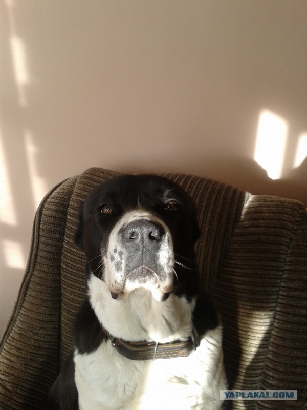 Перемена настроения