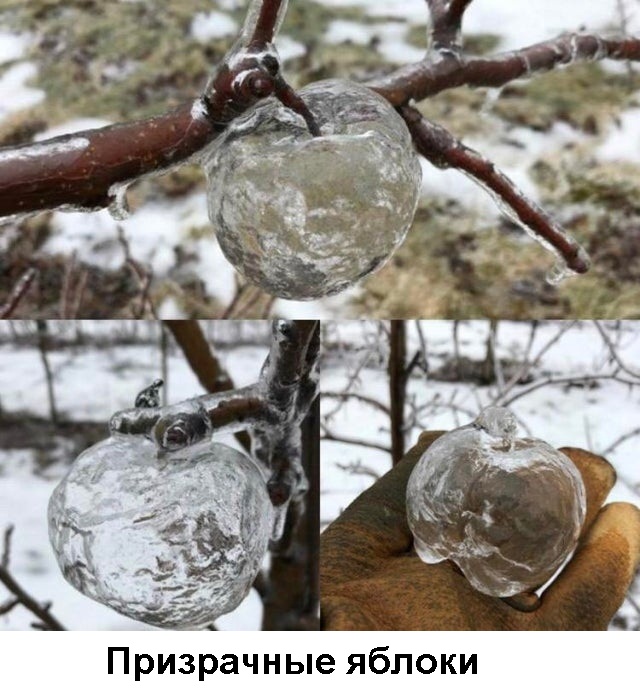 Калейдоскоп картинок
