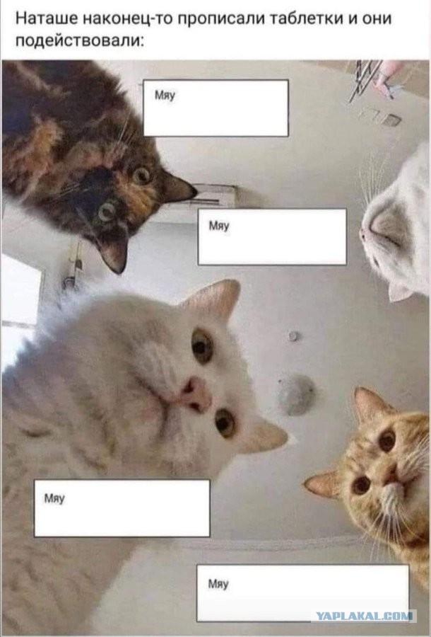 Утепляйтесь!