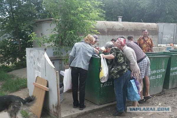 Нью-Йорк поражен волной бездомной преступности, поскольку бродячее население удваивается за 10 лет