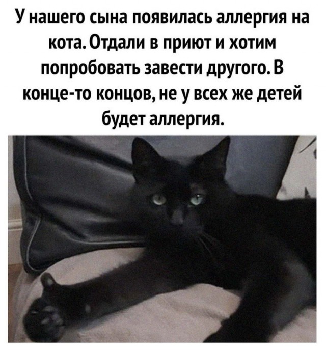 Весёлый полтишок 01.04