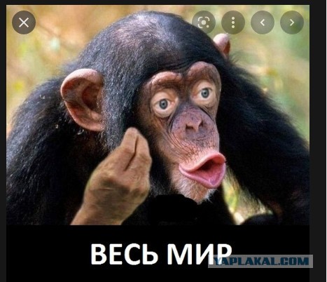 В Минобороны РФ рассказали о боях в Мариуполе