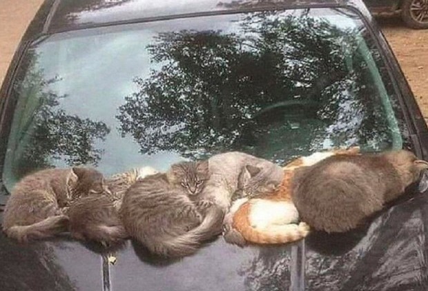 АккуМУРлятор Mazda 3