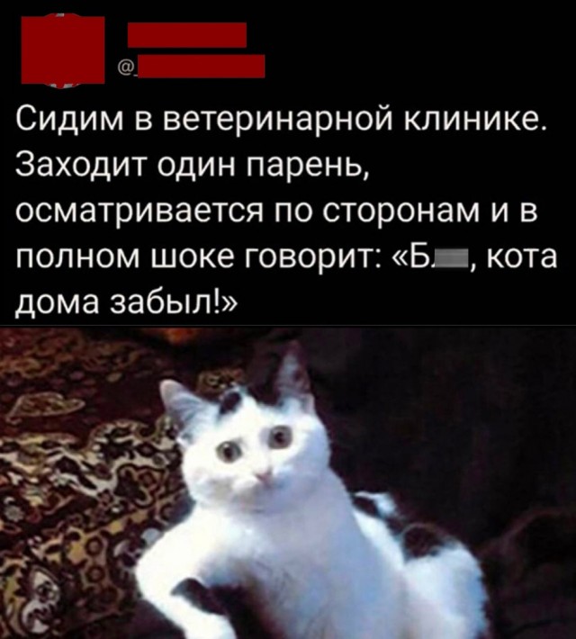 Так себе картинки 10.06.22
