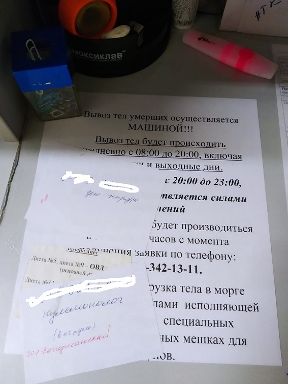 Пандемия съехавших крыш - разновидности болезни. Россия и мир. Часть 37