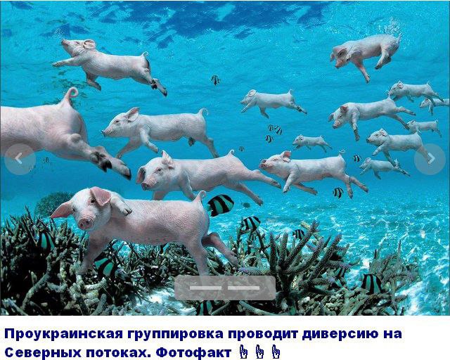 Американцы предоставили доказательства причастности Украины к взрыву северных потоков