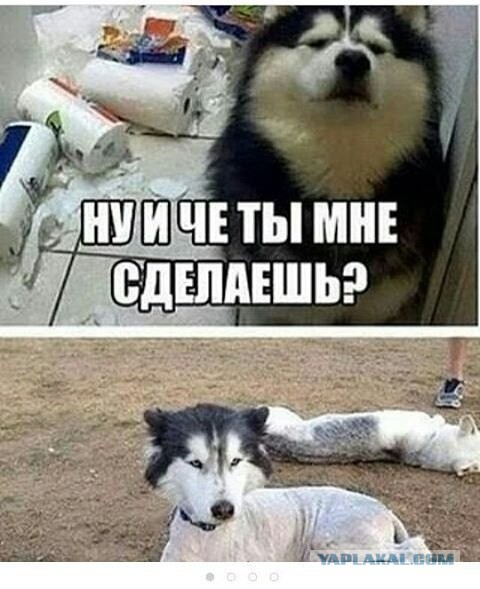 Международная аудиторская компания не выявила долга Молдавии перед Газпромом в размере $800 млн