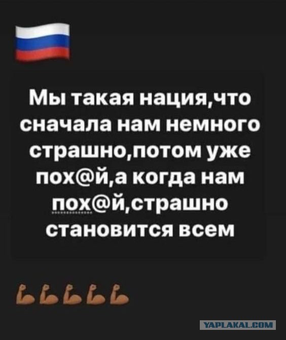 Кадыров пообещал короткий разговор «лжепатриотам», призывающим к фашизму