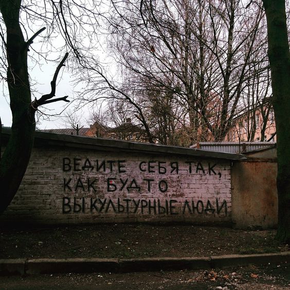 Прикольные и просто красивые картинки 14.06.24