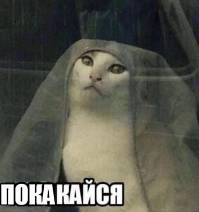 19494638.jpg