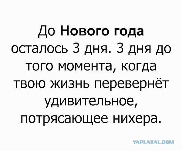 Так себе картинки 28.12.24