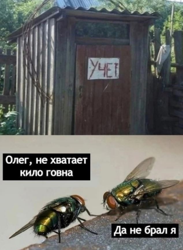 Картинки не для всех