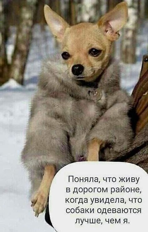 Так себе картинки 20.02.25