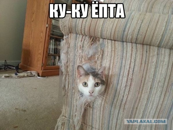 КотЭ и препараты