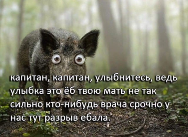 Отсутствие морально этических норм Vol.23