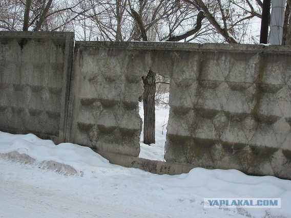 Стрит-арт в Наро-Фоминске выходит на концептуальный уровень