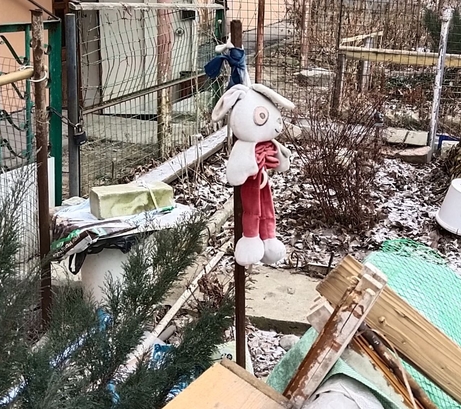 Ужасы нашего городка(с).