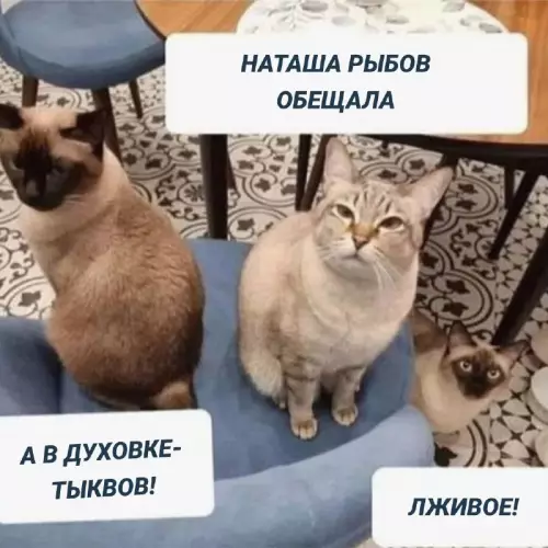 Картиночки, баянчики 06 марта