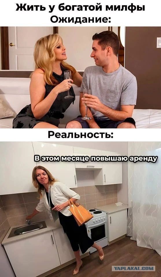 Веселые картинки в пятницу (17.04)