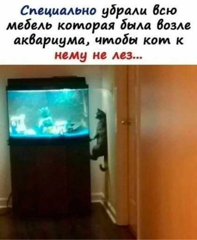 Четверговые картинки