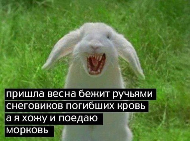 Весёлая математика