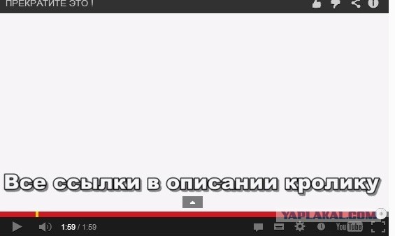 вроде правильно сказал