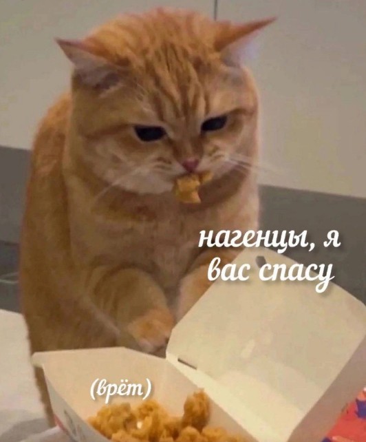 К котовторнику: подборка картинок-баянов с котиками и про котиков. Выпуск 44.